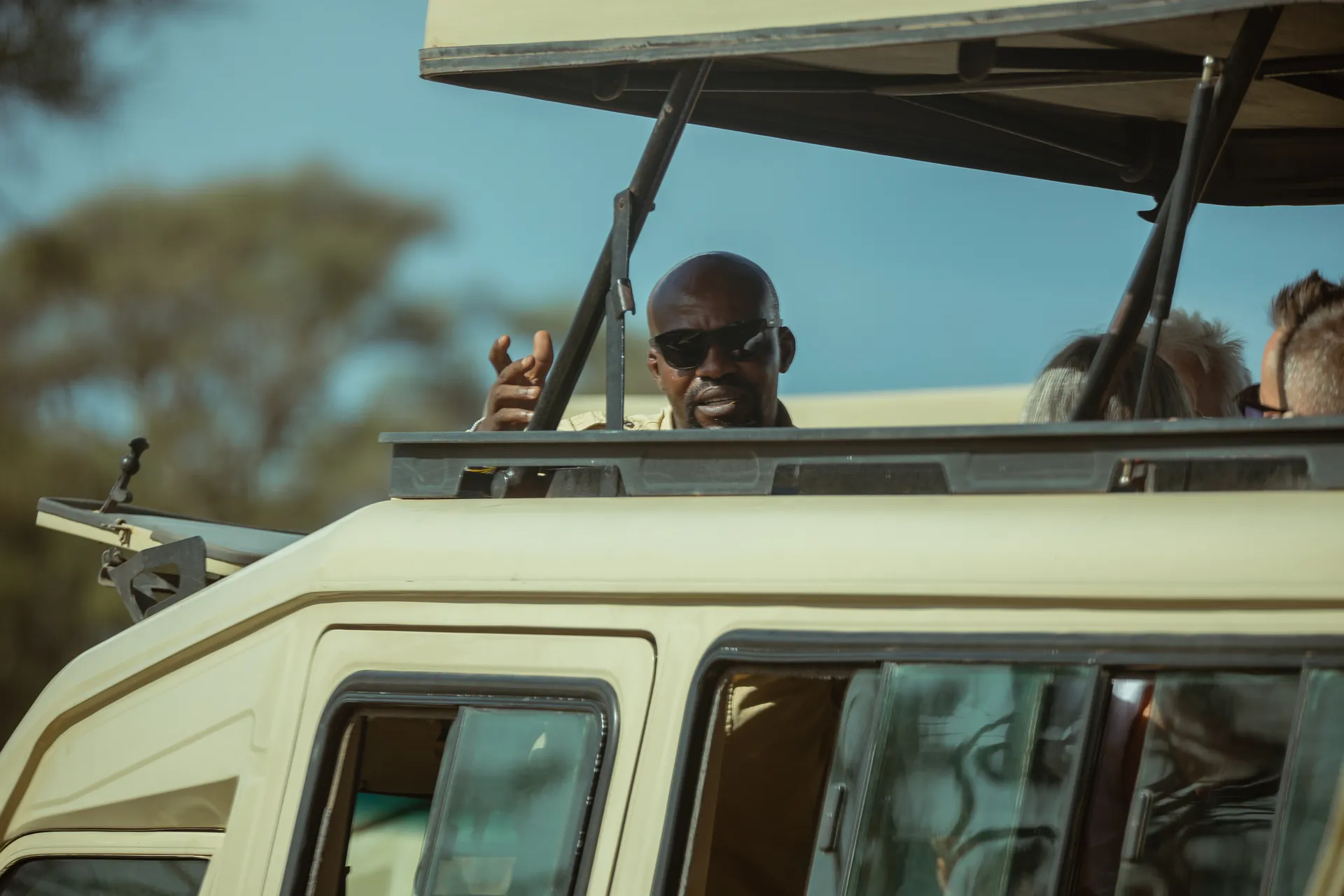 Wildlife in an East African safari landscape